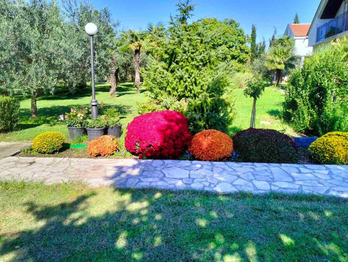 Olive Apartment Подгориця Екстер'єр фото
