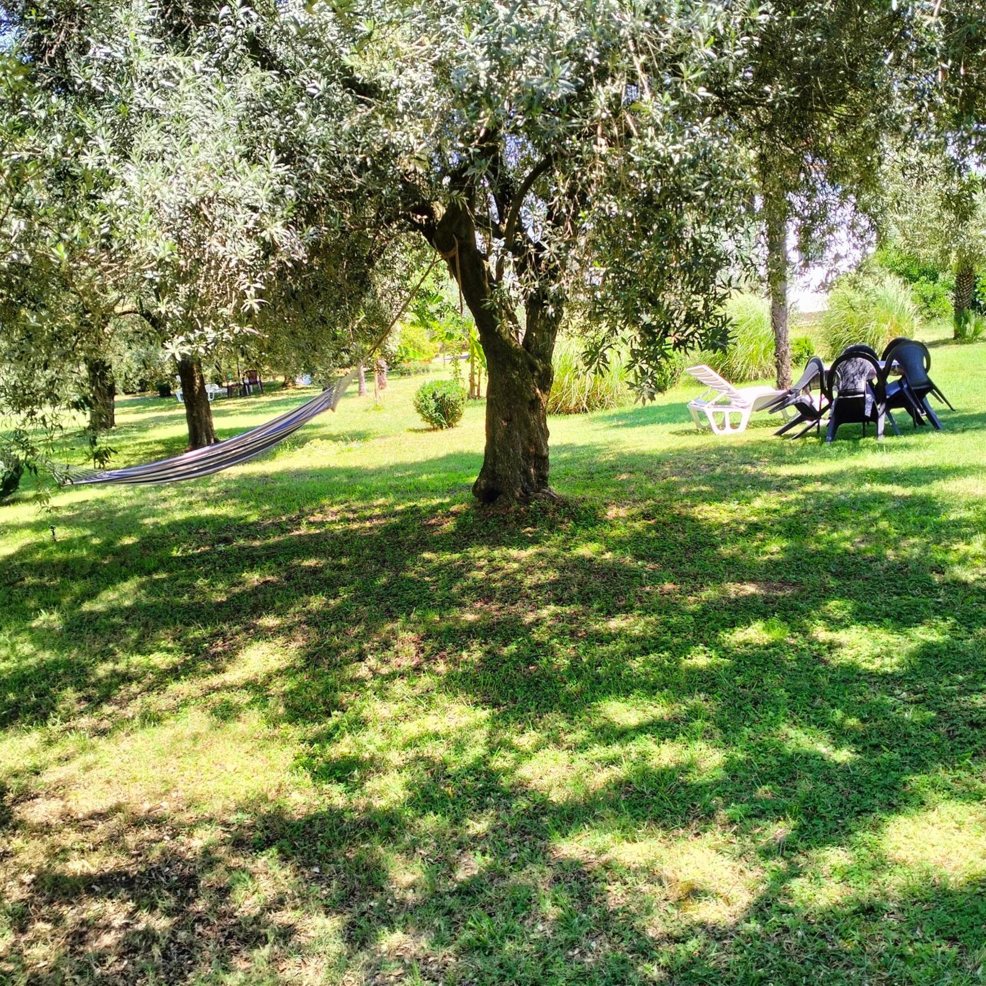 Olive Apartment Подгориця Екстер'єр фото