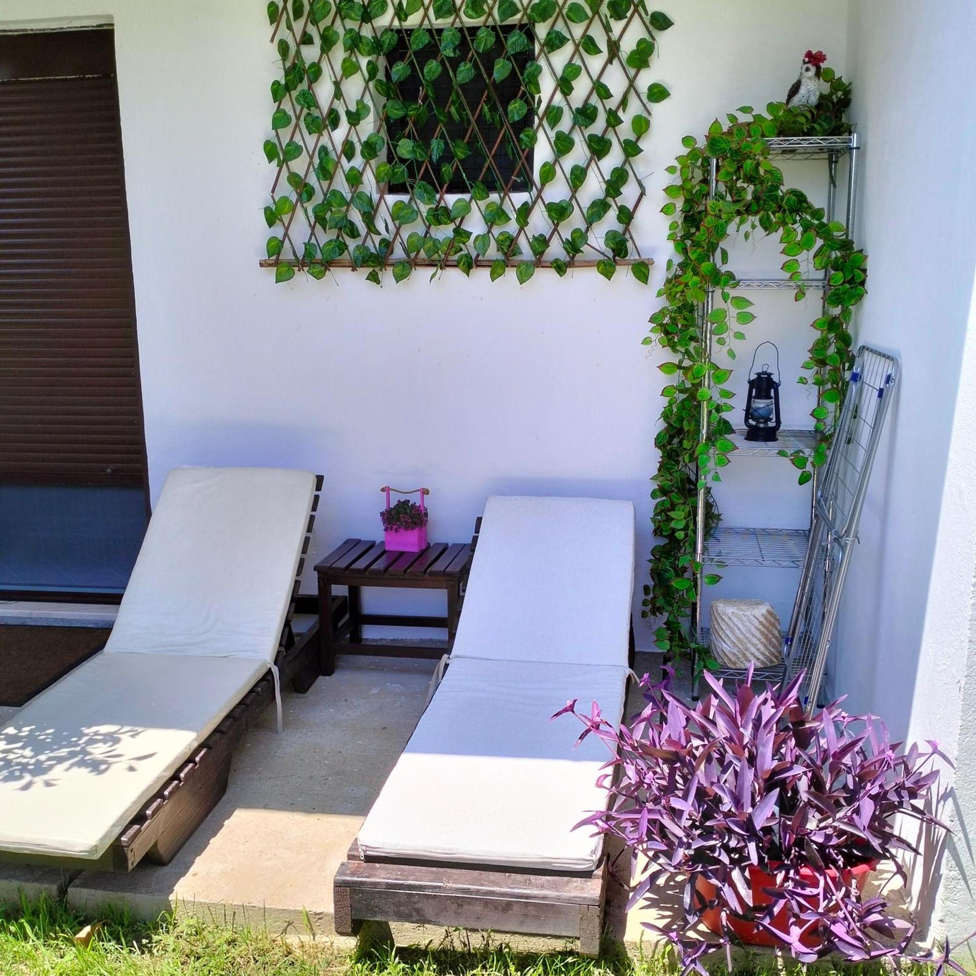 Olive Apartment Подгориця Екстер'єр фото